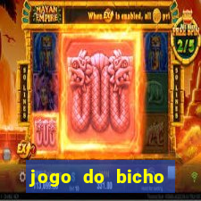 jogo do bicho crash bingo